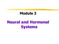 Neural & Hormonal Systems: Overview of Neurons, Neurotransmitters
