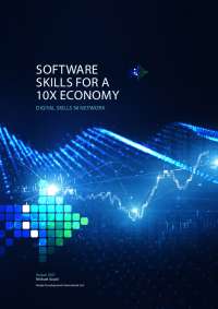 Addressing Software Skills Gap in Northern Ireland: A Collaborative Approach