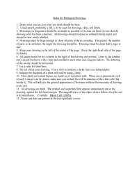 Guidelines for Creating Accurate Biological Drawings