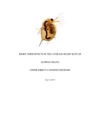 Impact of Caffeine on Daphnia magna Heart Rate: A Comparative Study