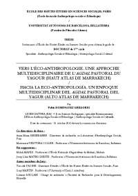 pdg1de1.pdf