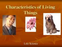 Understanding the 5 Traits of Living Things: Response, Organization, Growth, Energy, and R