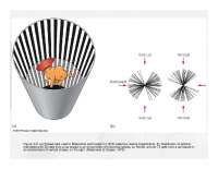 Figure 3.31 (a) Striped tube used in Blakemore and Cooper's ...