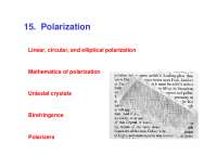 15. Polarization