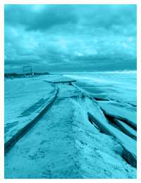 Coastal Erosion in New York City: Risks, Impacts, and Mitigation Strategies