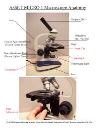 Using an ASSET Microscope: A Comprehensive Guide for Beginners