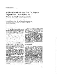 Muscle Spindle Afferents Activity During Unrestrained Treadmill Locomotion