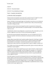 ROMÀNIC I GÒTIC: L'ART DELS SEGLES XII I XIII