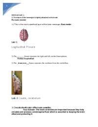 BIOD 152 Final Exam Graded A