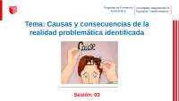 Causas y consecuencias de la realidad problemática identificada