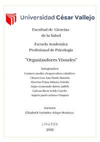 Corteza Cerebral - UCV