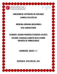 Aminoácidos esenciales: Histidina, Isoleucina, Leucina, Metionina, Fenilalanina, Treonina,