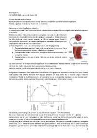Biomacchine - Prof. Michele Conti