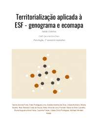 saúde coletiva - territorialização