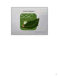 Animal Nutrition and Digestion: Food Processing in Animals