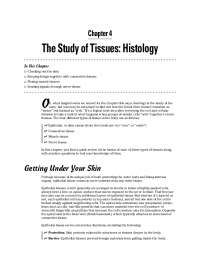 Overview of Histology: Epithelial, Connective, Muscle & Nerve Tissues