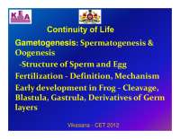 Spermatogenesis & Oogenesis -Structure of Sperm and Egg ...