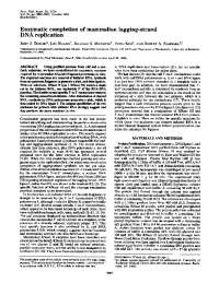 Enzymatic Removal of Initiator RNA in Mammalian Okazaki Fragment Processing