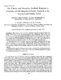 Antibody Response to E. coli Lipopolysaccharide: Amount, Avidity, and Protection