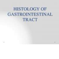 HISTOLOGY OF GASTROINTESTINAL TRACT