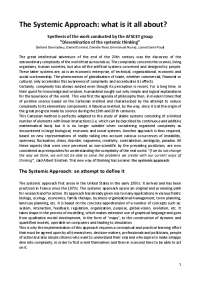 The Systemic Approach: what is it all about?