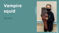 Vampire Squid: Habitat, Diet, and Interesting Facts