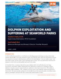 The Welfare of Dolphins in Captivity: A Critique of SeaWorld