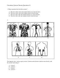 Circulatory System: Practice Questions # 1