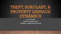 Understanding Theft, Burglary, and Property Damage: Dynamics and Prevention