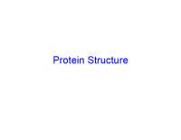 Understanding Protein Structure: Amino Acids, pKa, and Protein Formation