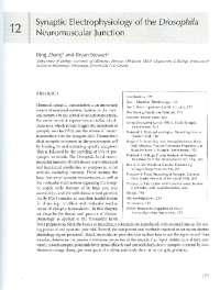 Electrophysiology of Synaptic Transmission: Membrane Potentials and Ion Channels