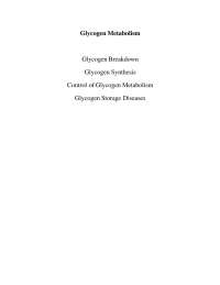 Glycogen Metabolism: A Comprehensive Analysis of Breakdown, Synthesis, and Regulation