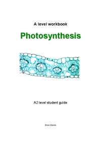 A level workbook