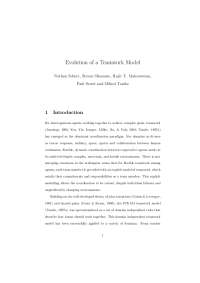 STEAM Teamwork Model and Role Allocation in Extreme Teams