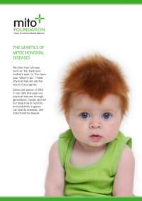 Understanding Genes, Inheritance, and Mitochondrial Diseases: An Overview