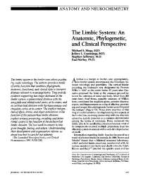 The limbic system: an anatomic, phylogenetic, and clinical ...