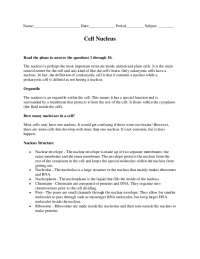 Cell Nucleus