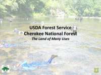 Snorkeling in Cherokee National Forest: A Guide to Exploring Aquatic Life