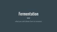Fermentation: How To Make Energy Without Oxygen