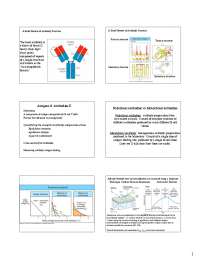Understanding Antibody-Antigen Interactions: Affinity, Avidity, and Cross-reactivity