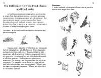 Understanding Food Chains and Food Webs in Ecosystems