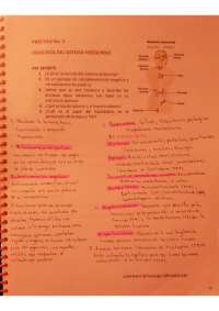 Reporte completo química analítica