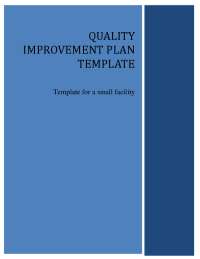 Quality Improvement Plan Template