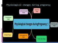 Physiological Changes During Pregnancy: A Comprehensive Guide