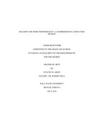 Imagery for Sport Performance: a Comprehensive Literature