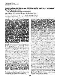 Impact of virB Gene Products on Agrobacterium's T-DNA Transfer Machinery