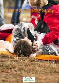 Understanding the Primary and Secondary Survey in First Aid: DRS ABCD and Beyond