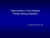 Interventions in the Hepatic Portal System: Diagnostics, Treatments, and Procedures