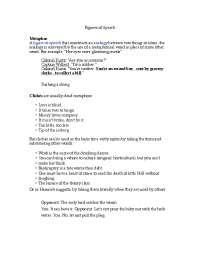 Exploring Metaphors, Chiasmus, Anaphora, Epistrophe, and Literary Devices