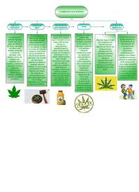 La legalización de la marihuana: beneficios y desafíos